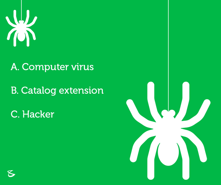 What is a spider? 

#Business #Technology #Innovation