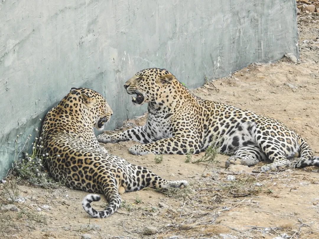 CompuBrain, Social Media 2.0, Best Social Media Agency, Website Designing Company Ahmedabad, Web Designing Agency Surat, Search Engine Optimization Baroda, Social Media Marketing, Digital Media Agency Rajkot, Technology Consultancy Mumbai, Internet Reputation Management in Gujarat, Hosting Services India