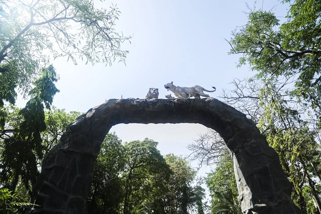 CompuBrain, Social Media 2.0, Best Social Media Agency, Website Designing Company Ahmedabad, Web Designing Agency Surat, Search Engine Optimization Baroda, Social Media Marketing, Digital Media Agency Rajkot, Technology Consultancy Mumbai, Internet Reputation Management in Gujarat, Hosting Services India