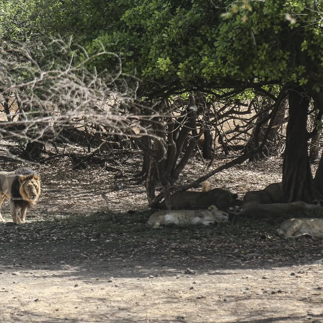 CompuBrain, Social Media 2.0, Best Social Media Agency, Website Designing Company Ahmedabad, Web Designing Agency Surat, Search Engine Optimization Baroda, Social Media Marketing, Digital Media Agency Rajkot, Technology Consultancy Mumbai, Internet Reputation Management in Gujarat, Hosting Services India