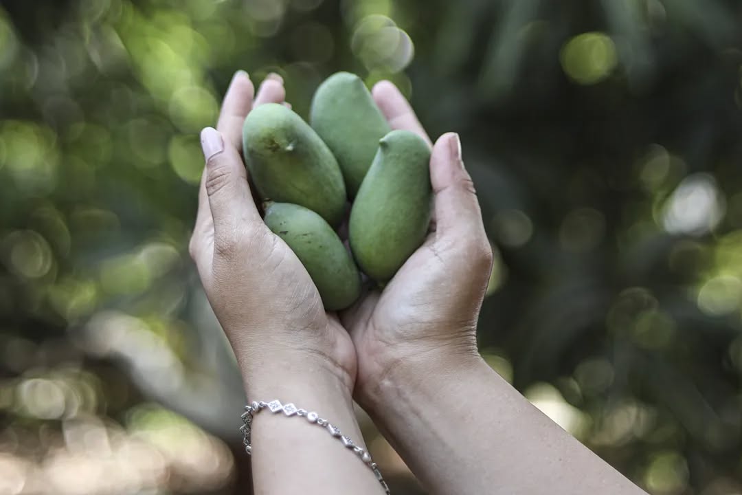 CompuBrain, Social Media 2.0, Best Social Media Agency, Website Designing Company Ahmedabad, Web Designing Agency Surat, Search Engine Optimization Baroda, Social Media Marketing, Digital Media Agency Rajkot, Technology Consultancy Mumbai, Internet Reputation Management in Gujarat, Hosting Services India