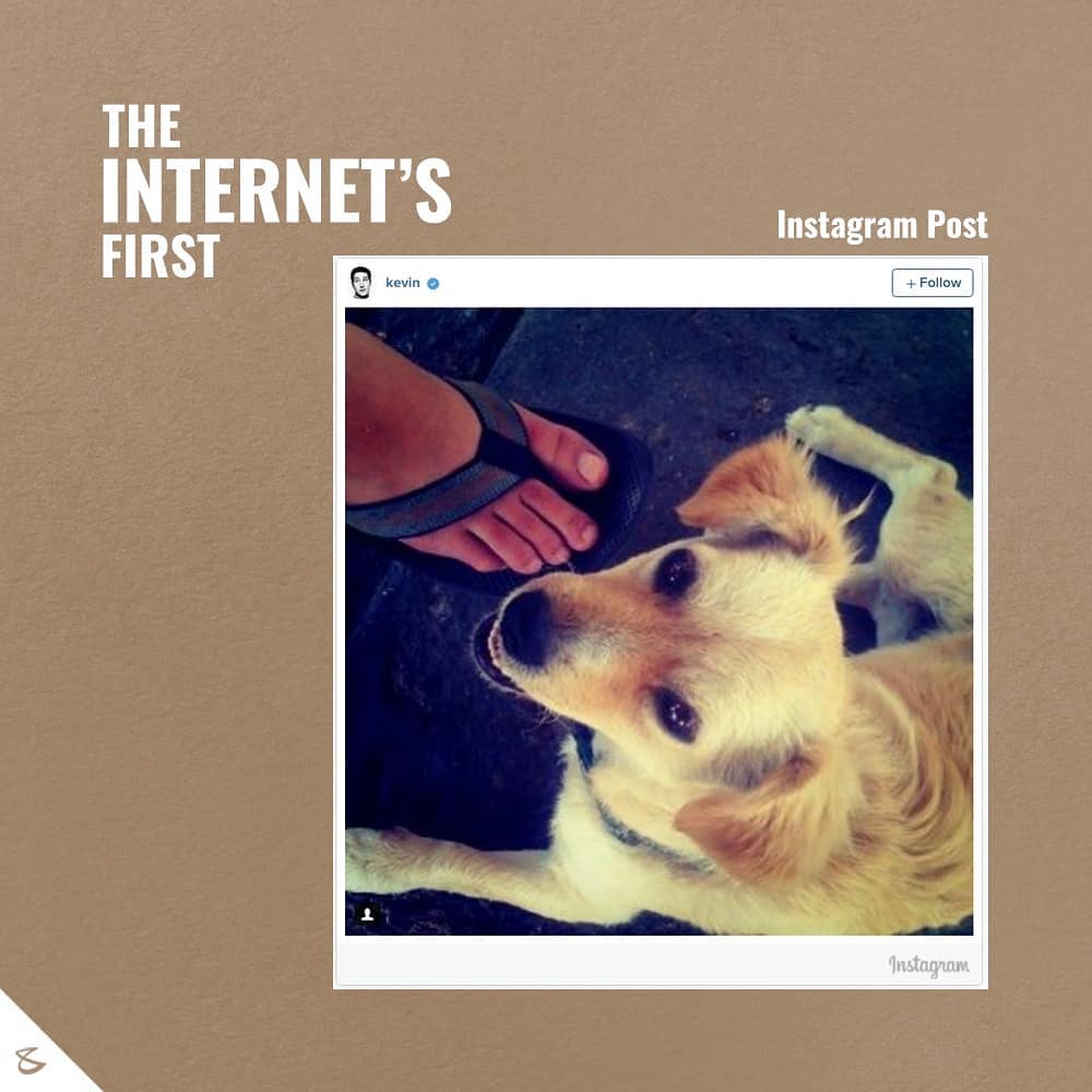 CompuBrain, Social Media 2.0, Best Social Media Agency, Website Designing Company Ahmedabad, Web Designing Agency Surat, Search Engine Optimization Baroda, Social Media Marketing, Digital Media Agency Rajkot, Technology Consultancy Mumbai, Internet Reputation Management in Gujarat, Hosting Services India