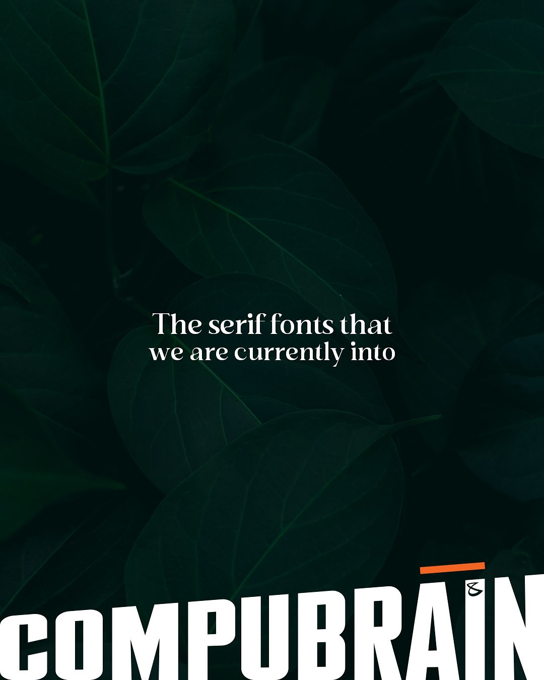 CompuBrain, Social Media 2.0, Best Social Media Agency, Website Designing Company Ahmedabad, Web Designing Agency Surat, Search Engine Optimization Baroda, Social Media Marketing, Digital Media Agency Rajkot, Technology Consultancy Mumbai, Internet Reputation Management in Gujarat, Hosting Services India