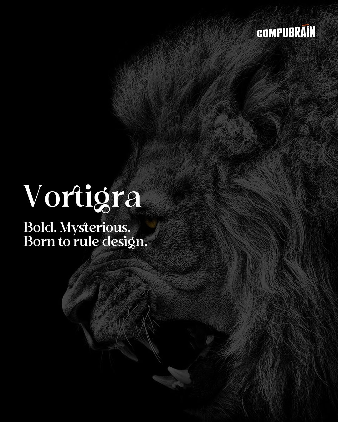 CompuBrain, Social Media 2.0, Best Social Media Agency, Website Designing Company Ahmedabad, Web Designing Agency Surat, Search Engine Optimization Baroda, Social Media Marketing, Digital Media Agency Rajkot, Technology Consultancy Mumbai, Internet Reputation Management in Gujarat, Hosting Services India