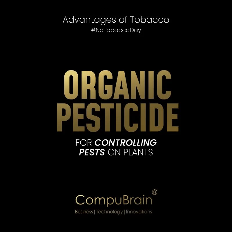 CompuBrain, Social Media 2.0, Best Social Media Agency, Website Designing Company Ahmedabad, Web Designing Agency Surat, Search Engine Optimization Baroda, Social Media Marketing, Digital Media Agency Rajkot, Technology Consultancy Mumbai, Internet Reputation Management in Gujarat, Hosting Services India