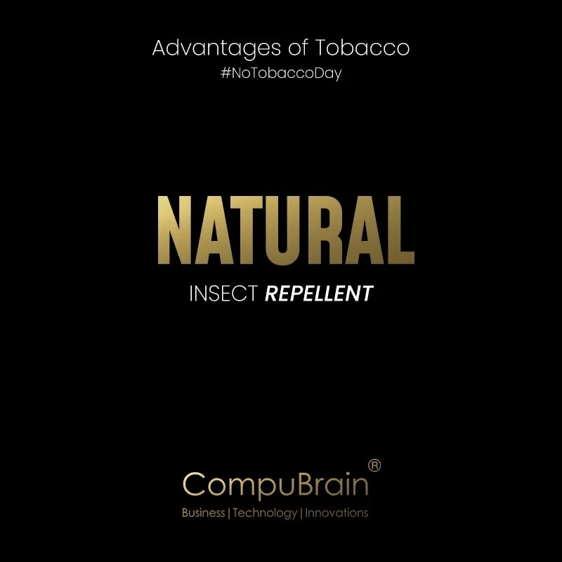 CompuBrain, Social Media 2.0, Best Social Media Agency, Website Designing Company Ahmedabad, Web Designing Agency Surat, Search Engine Optimization Baroda, Social Media Marketing, Digital Media Agency Rajkot, Technology Consultancy Mumbai, Internet Reputation Management in Gujarat, Hosting Services India