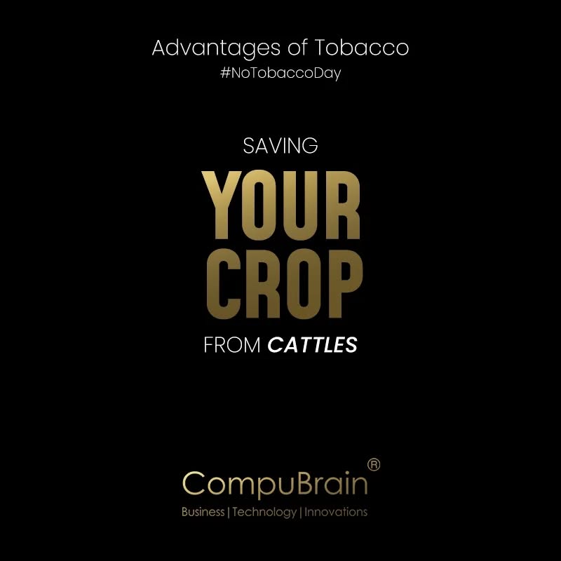 CompuBrain, Social Media 2.0, Best Social Media Agency, Website Designing Company Ahmedabad, Web Designing Agency Surat, Search Engine Optimization Baroda, Social Media Marketing, Digital Media Agency Rajkot, Technology Consultancy Mumbai, Internet Reputation Management in Gujarat, Hosting Services India